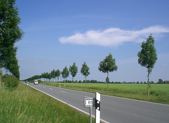 Allee Foto Doobe 2011 CIMG2286 550x400