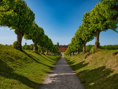 Allee Sonderpreis2023 Park StefanWilmer 400x300
