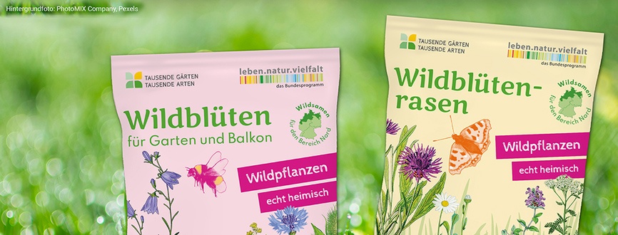 1000Gaerten Mockup Saatgut 866x330