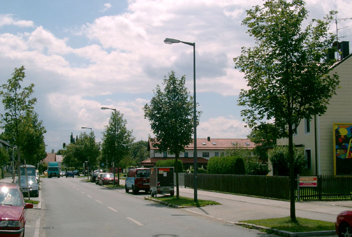Unterhachinger Straße; Acer platanoides 'Apollo'; Foto 2012 Muenchen UnterhachingerStr Acer platanoides Apollo 2012s