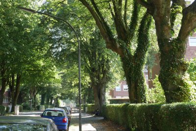 Platz2 DietrichKatharina 400x267