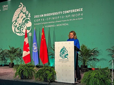 Weltnaturgipfel2022 Foto BMUV SabrinaGiyasova 400x300