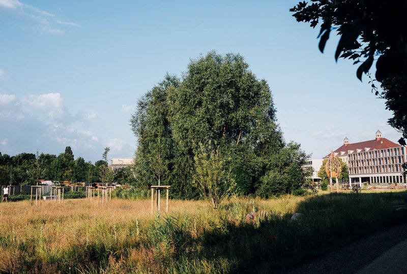 A 2 Renaturierung RietzschkeAue Foto 800x566