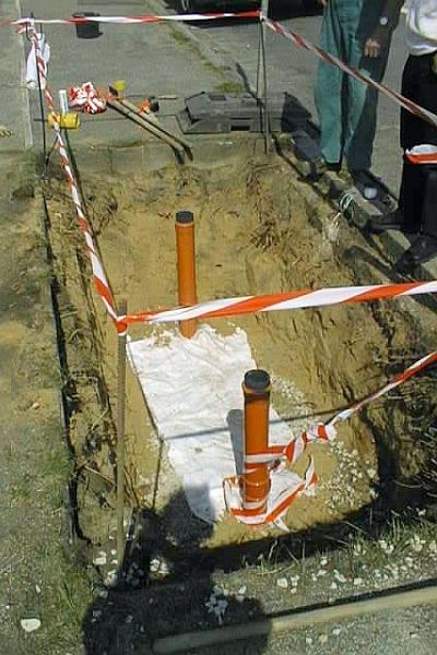 SiK Pflanzgrube Foto MRHarburg 150725 400x600