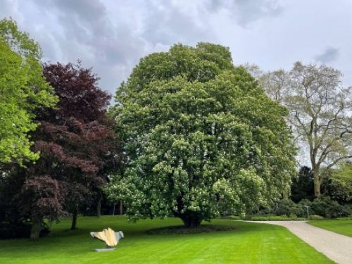 Tagung2023 ParkVillaHammerschmidt Foto B Molly 500x375
