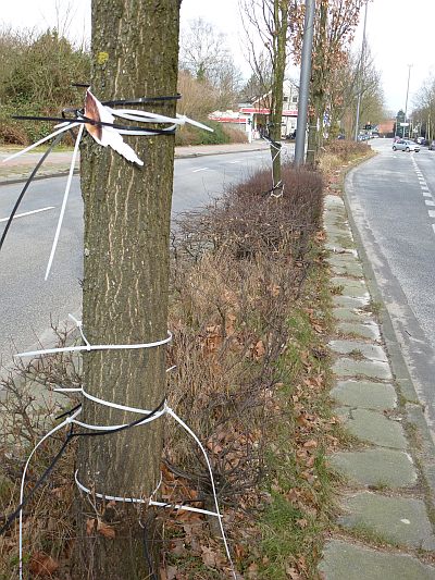 Plakatierung 04 Fasanenweg Muehlenbrock 400x533