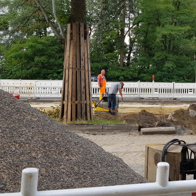 StrBaum unter Druck Hofweg Foto Doobe 2019 400x823