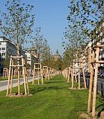 mannheim augustaanlage 150x171