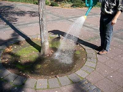 Waessern Foto 070916 400x300