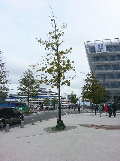 Wassersack HafenCity Foto Doobe 20140830 400x533