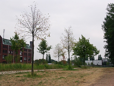 Wasserstress Entenwerder Foto Doobe 400x300