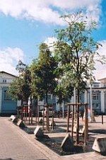 r bahnhofsplatz 155x226