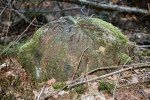 stubben 01 150x100