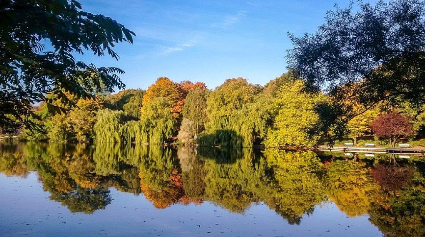Abb02 Wasserspiegelungen Schrevenpark Foto PetraHoltappel 866x484