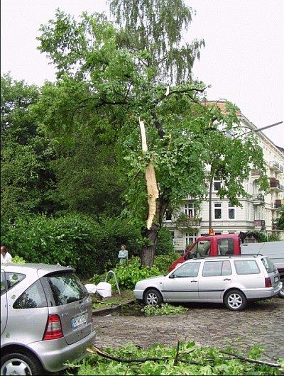 Sturmschaden07 400x530