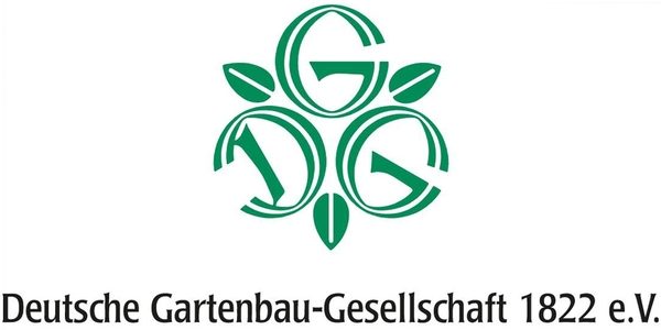 Logo DGG 600x300
