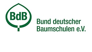 bdb 300px2