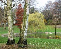 orga eppendpark 205x200