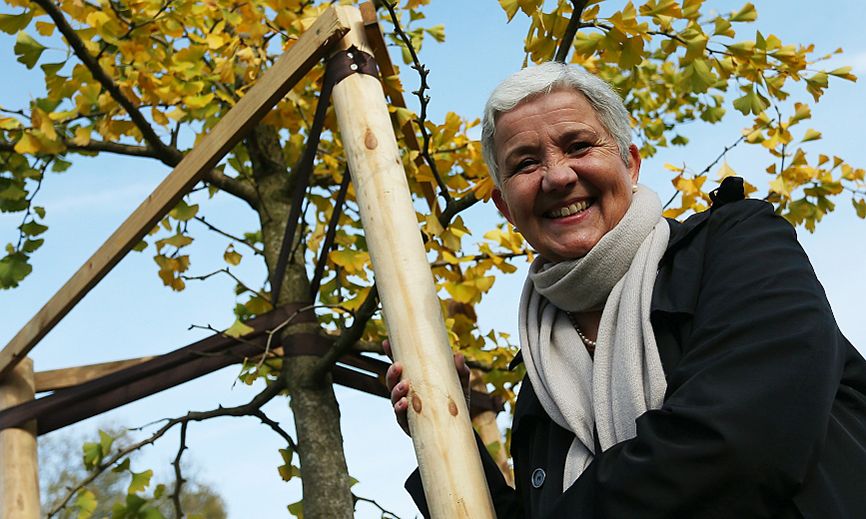 Doris Törkel