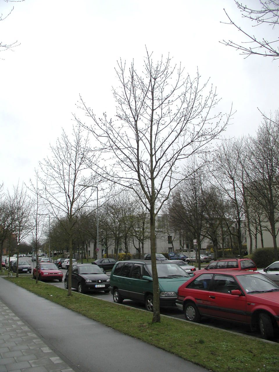 München 2004