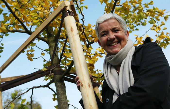 Doris Törkel